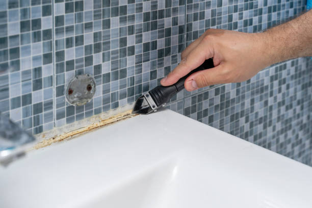 Best Mold Testing and Removal  in Mccamey, TX
