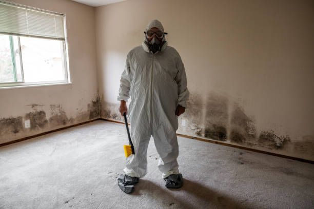 Best Fast Mold Removal  in Mccamey, TX